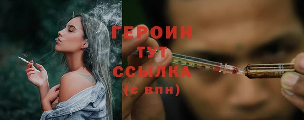 молекула духа Снежногорск